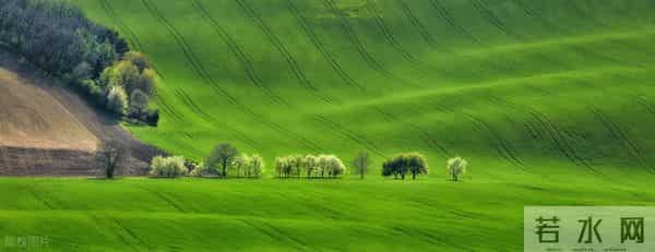 那些堪称封神的哲学金句,每一句都是思想之光!