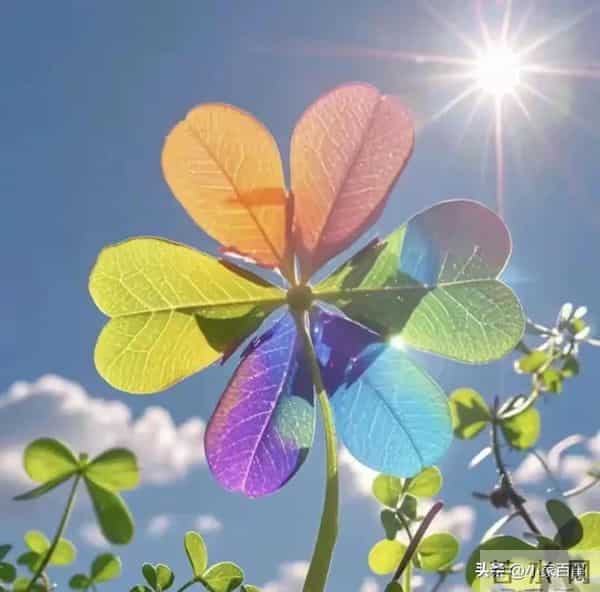 如果有一天你有钱了，记住这十件事，守住财运