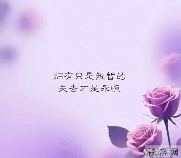 余生很短，别让遗憾太长。