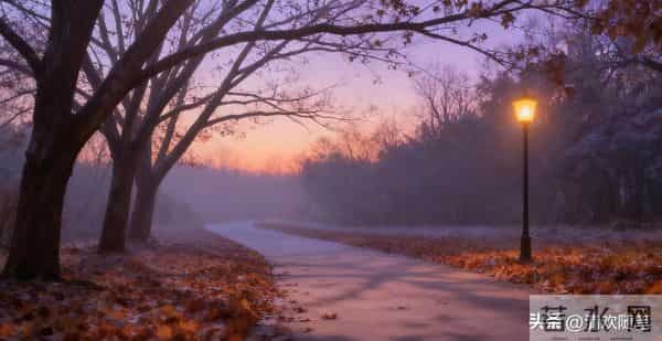 冬安:于清简时光里,种满心暖与从容