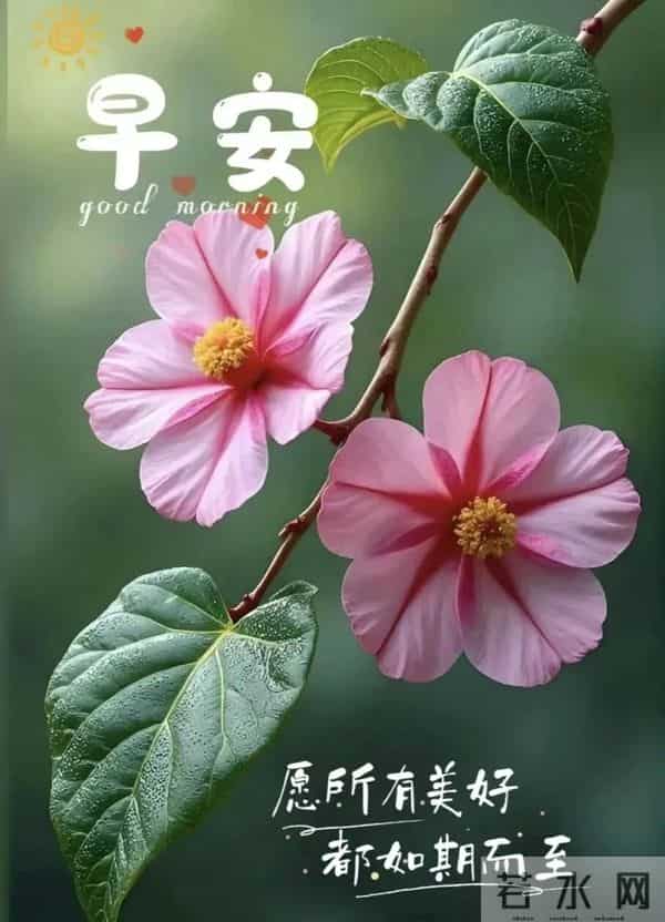 2025年11月27日早上好 周四愉快温馨祝福 早安最新精美图片 早上好