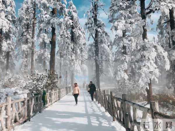 妹妹让我凌晨4点送她去机场老公却拽住我：别去，她刚发了动态！