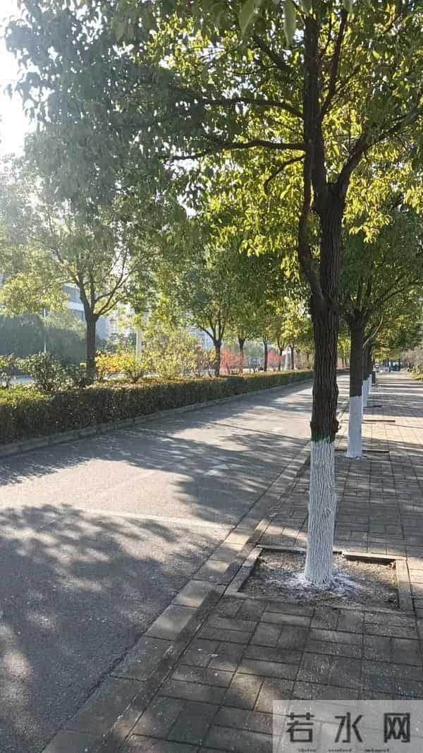 抑郁良药：不纠结