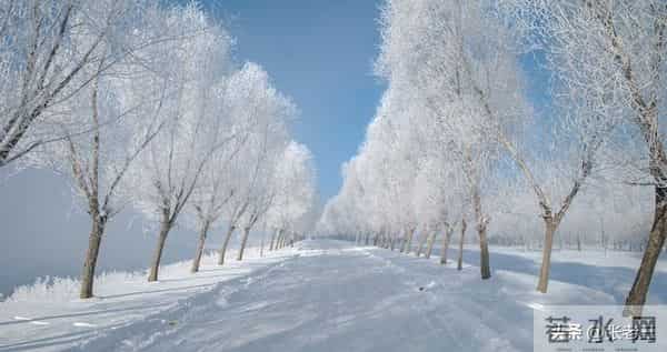 愿你初心纯如雪(散文)