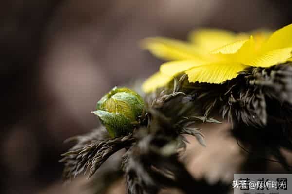 是天意有意让你看到此文，你命中有的早晚都会到你手中