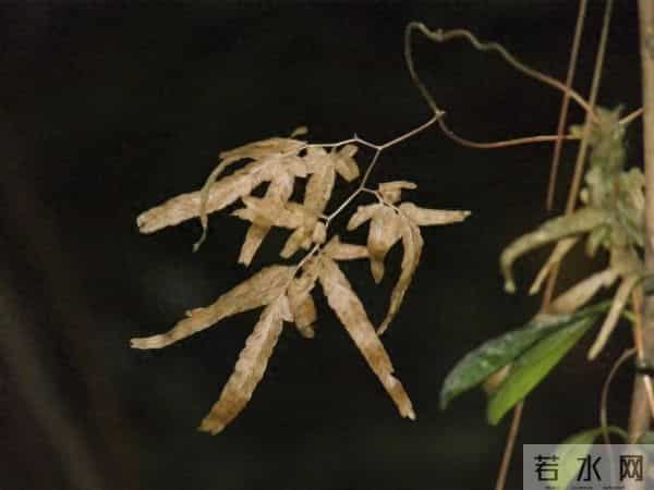 可以原谅蠢,可以容忍错,但永远不能原谅清醒地利用别人善良作恶