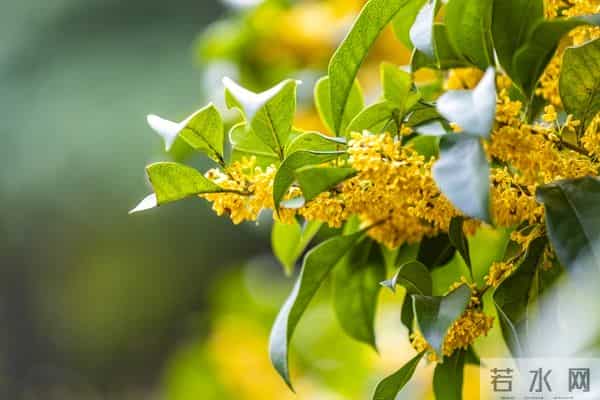 家出贵人,必有征兆:一个家庭出现这3个征兆,说明要走大运了