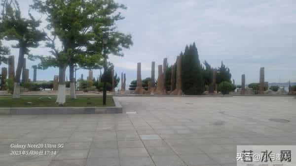 半生风雨半生悟：释怀才是人生的解药