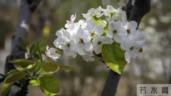 退休跟前夫离婚被儿子说自私,5200退休金不帮他,余生只想活自己