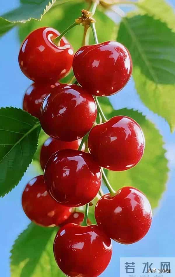 财运将至，好运已来，快快签收