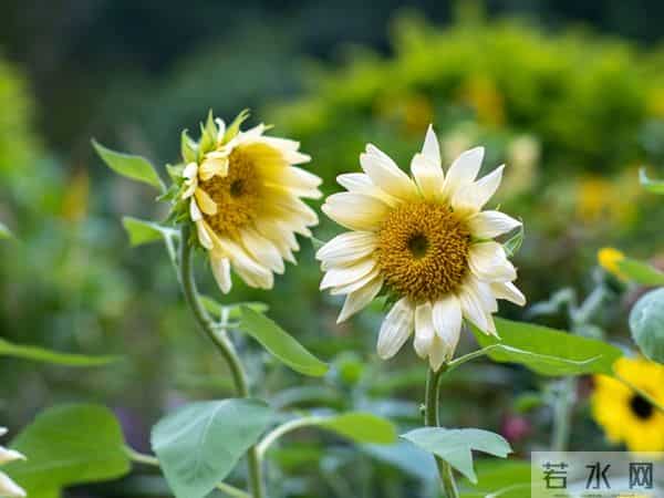 一段婚外情,留给男人的和女人的3个不同结局。