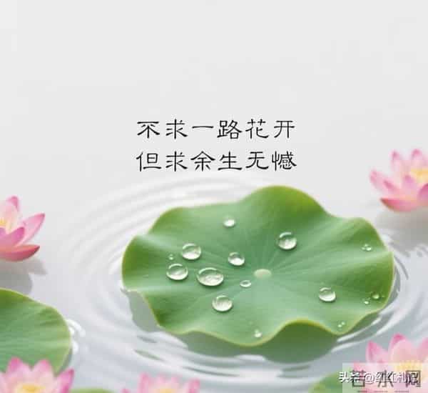 余生很短，别让遗憾太长。