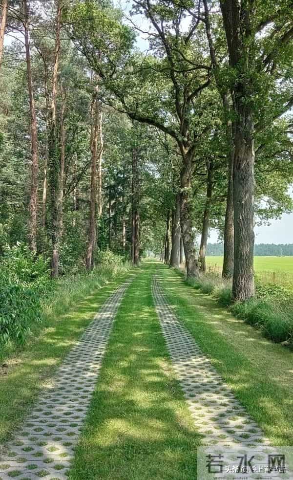 老了才悟透：人生没有什么放不下的，一切都是最好的安排