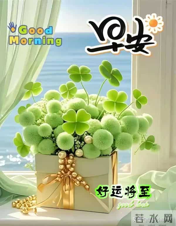 早安图片-愿今日的你不负晨光,好运将至~