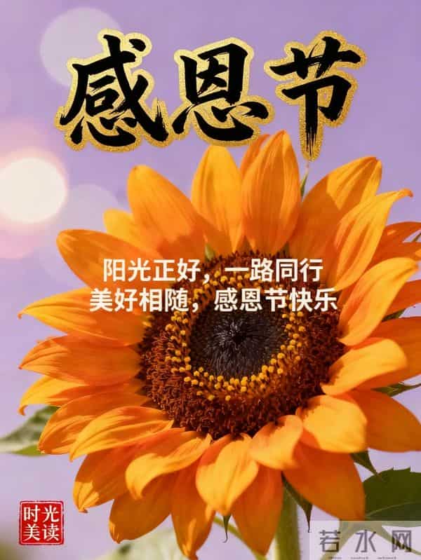 感恩节到了，感谢一路陪伴我的人，感恩有您，风雨同行