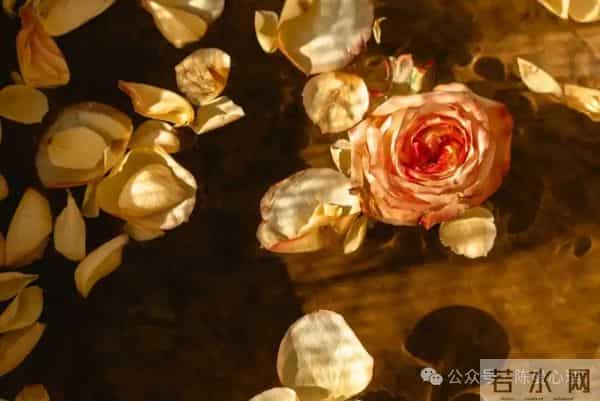 走不出背叛的阴影,是因为你不想走出来!