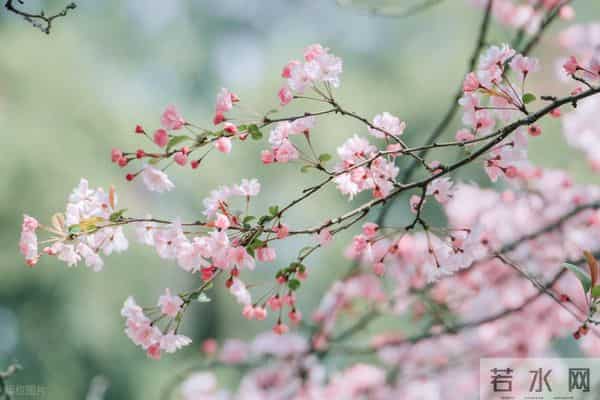 男人如此对你“装傻”，是心里没你的证据