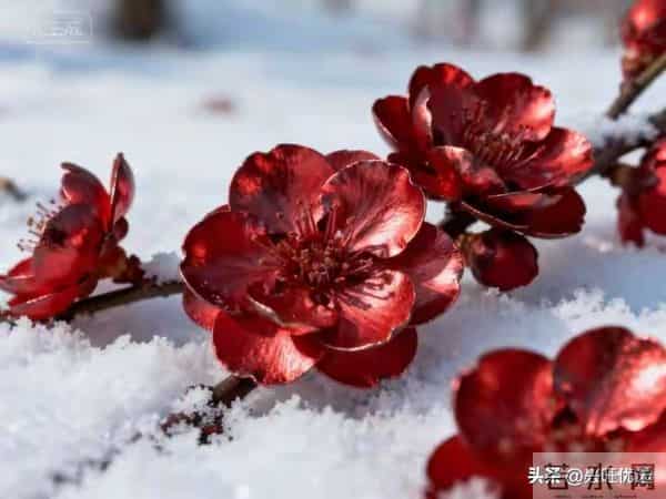 男人要想延年益寿，与身边的女人有很大关系，要尽量娶这样的妻子