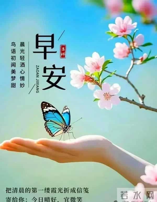 新的一天,新的开始!一句早安,温暖心房;一份祝福,伴你身旁。