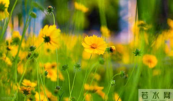 “不需要对方好看”:生理性喜欢的魔力有多可怕!