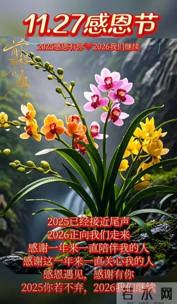 2025感恩节祝福图片 感恩节暖心文案 只想对你说一句 感恩有你 早上好