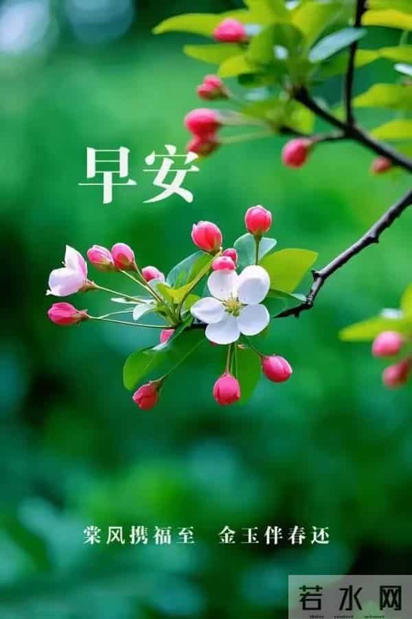 早上最新经典问候图（145）