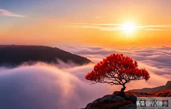 20句疗愈金句：治愈疲惫心灵，点亮前行之路