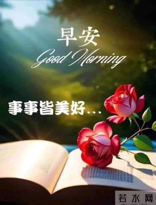 早安!晨光熹微时,愿有人为你留一盏灯,暖一壶茶,护一身风霜。