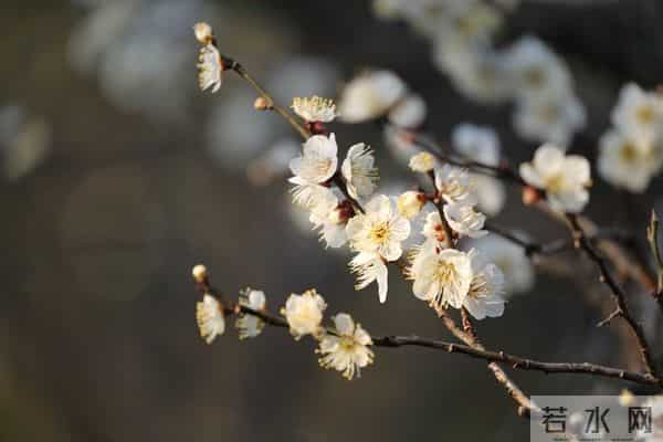 不爱麻烦人,又狠不下心拒绝的人,往往逃不开这三种人生