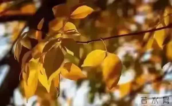 发现怪现象：越是独来独往没有朋友不合群的人，人品往往越没问题