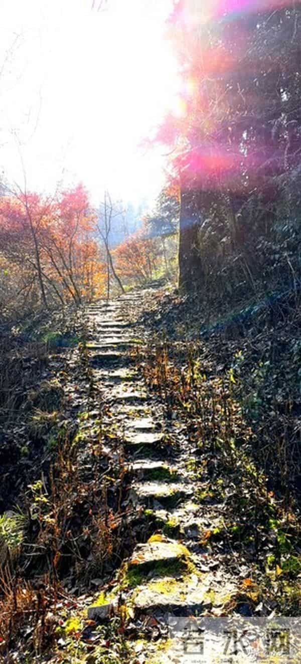 人老了,最嫌弃你的人是谁?主要有三人,看完你就明白了