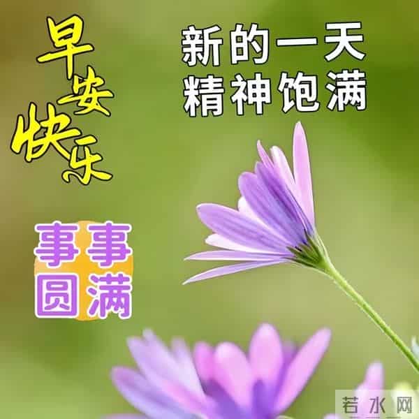 最新感恩节文案,感恩的精辟句子,愿你节日快乐,天天好心情