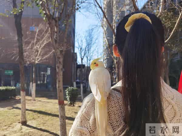 让欺负你的人永远怕你的10个绝招