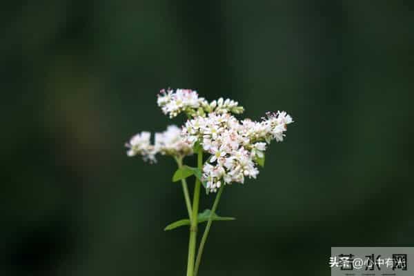 两性关系：60多岁阿姨直言：女人找老伴，最想要的是这点