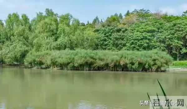 性格太软的你一定要懂:对付一个人,吵没用翻脸没用、沉默更没用