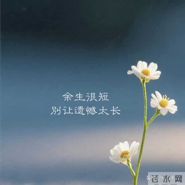 余生很短，别让遗憾太长。