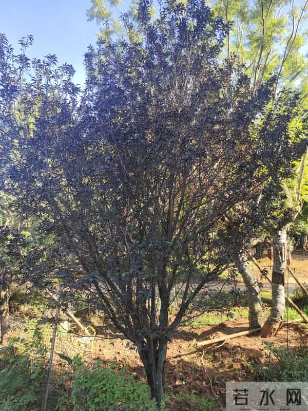 看淡人生,善待自己,你做到了吗?