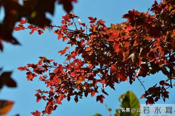 两性关系，夫妻越是喜欢分房睡，越是说明这三点。一定要重视！