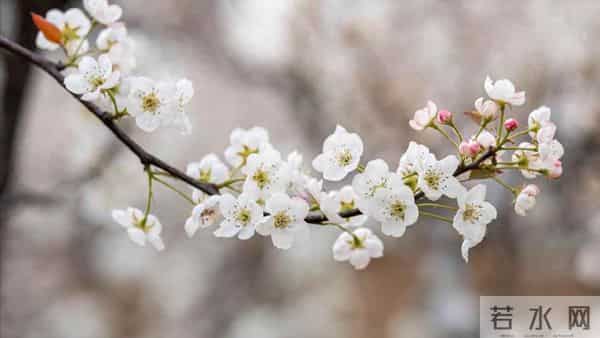 76岁老人坦言：人老了根本不需要养老！每天找些事做晚年不靠子女