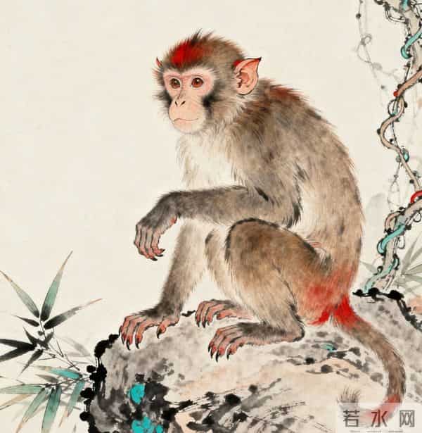 生肖猴注意!你所受的委屈,总会有人注意到