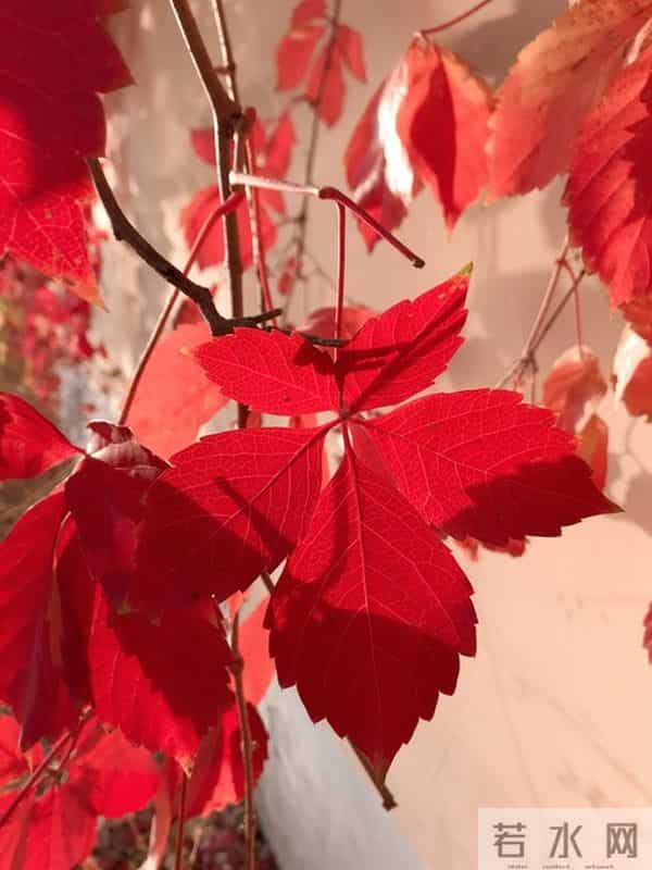 让你享用一辈子的人生金句:句句清醒,句句治愈,句句入心