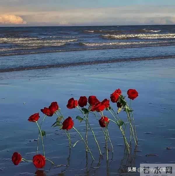 “想让男人心疼亏欠你,就要这么说”