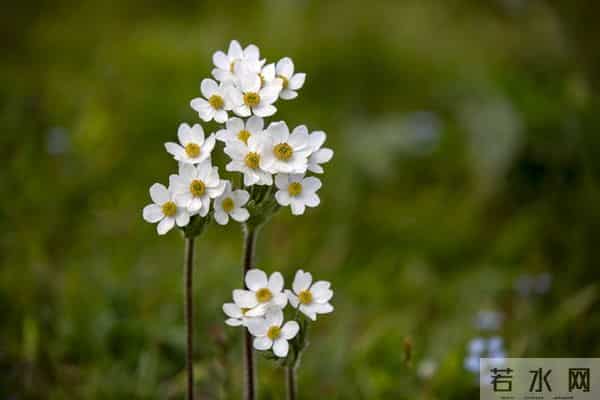 一段婚外情,留给男人的和女人的3个不同结局。