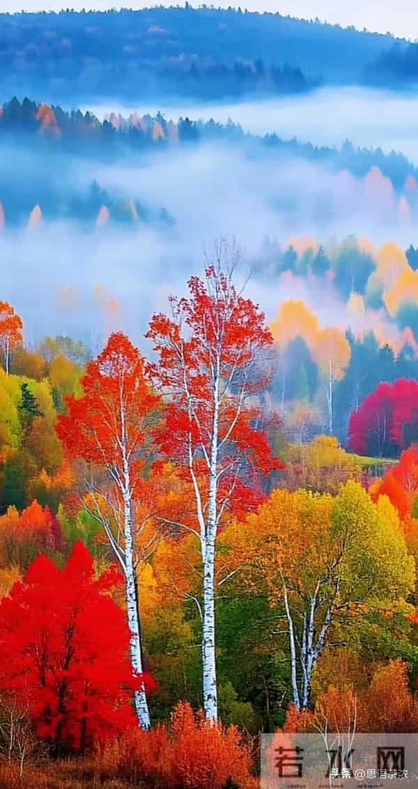 情感：婚后女人最怕男人触碰的三个底线，最后一点太真实了