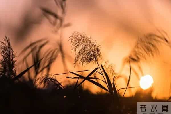 一辈子都写不出的金句，我为你整理了32句
