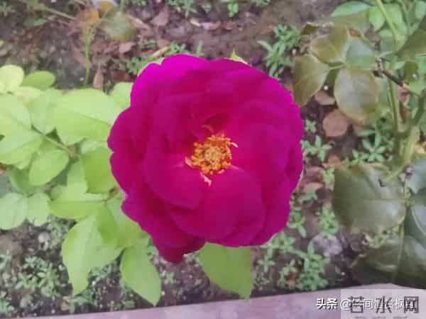 人到五六十才想通：最好的活法，不是“攒钱”，而是“会花钱”！