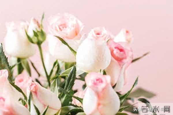 两个有家庭的人越界,真正高情商的女人会这样做,很聪明