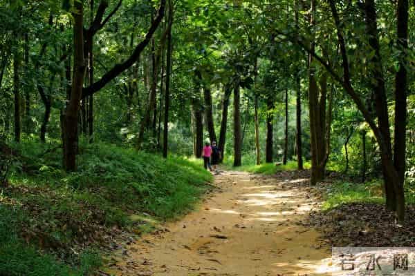 人到中年才醒悟:人生最“无用”的东西,就是这两个字