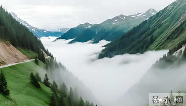 带孙7年被亲家挤走,我停了补贴去旅居,儿媳反说我自私不愿养老