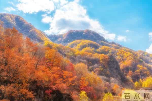 情感铁律:生理性喜欢,一辈子不会超过2次